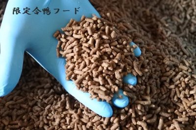 画像2: 犬道ドッグフード