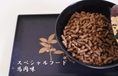 画像1: 犬道ドッグフード