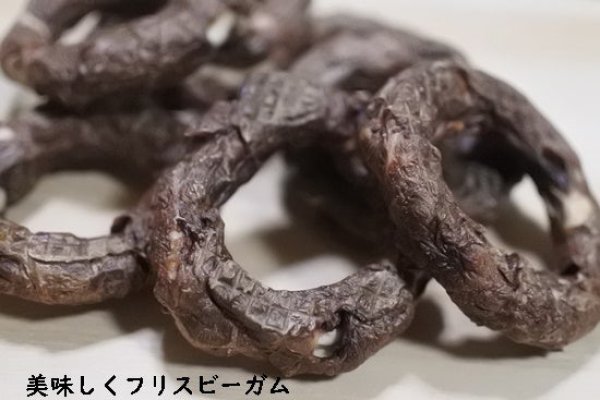 画像1: 美味しくフリスビーガム (1)
