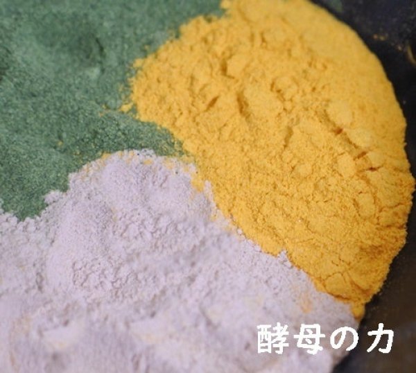 画像1: 酵母の力 (1)