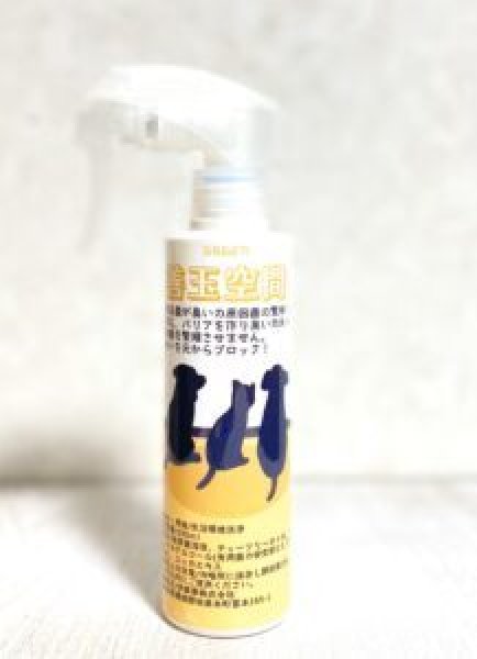 画像1: 善玉空間 (1)