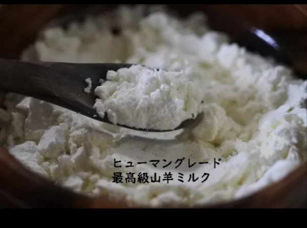 画像1: 無脂肪　ヤギミルク　低カロリー (1)
