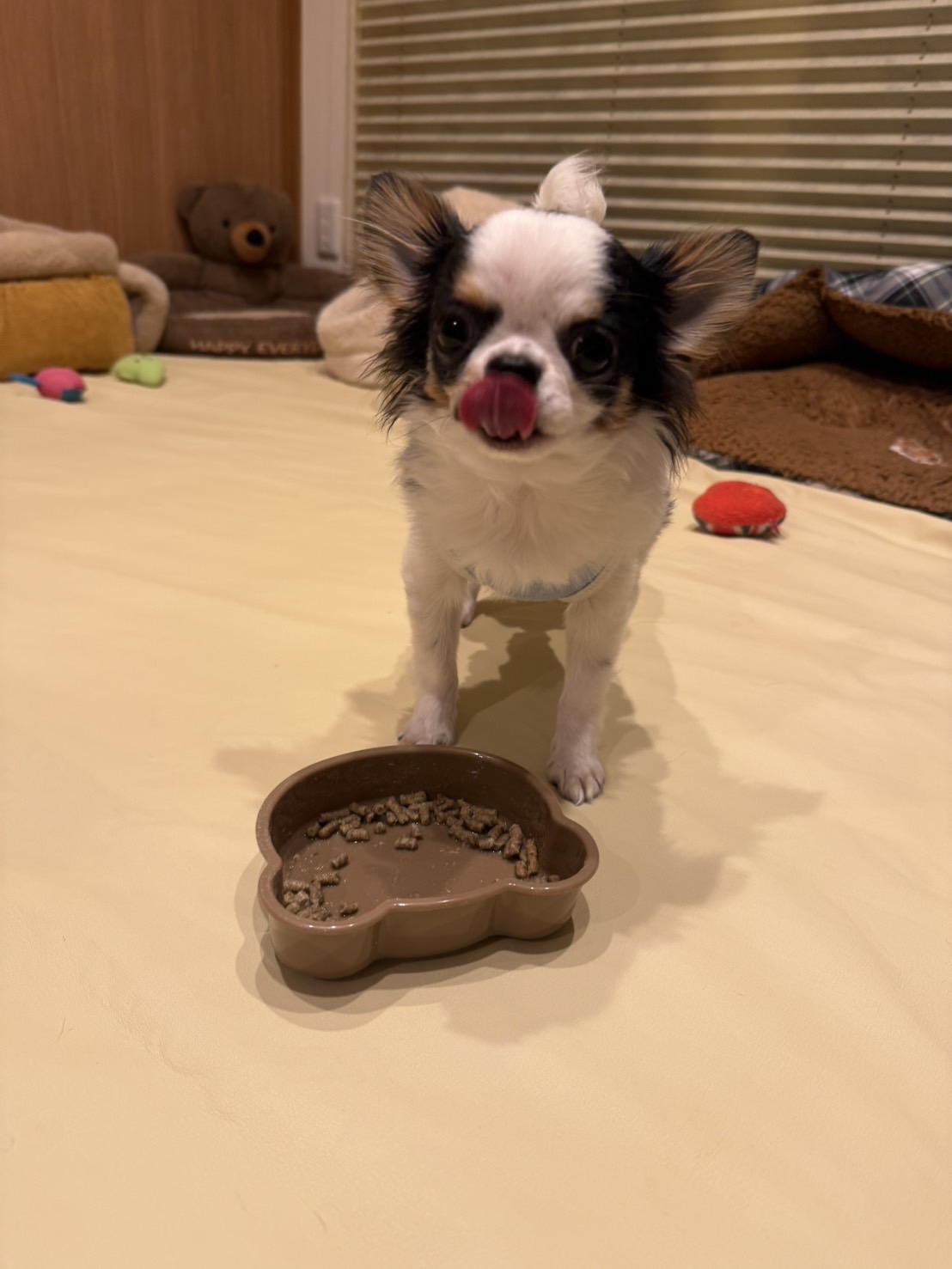 食欲旺盛