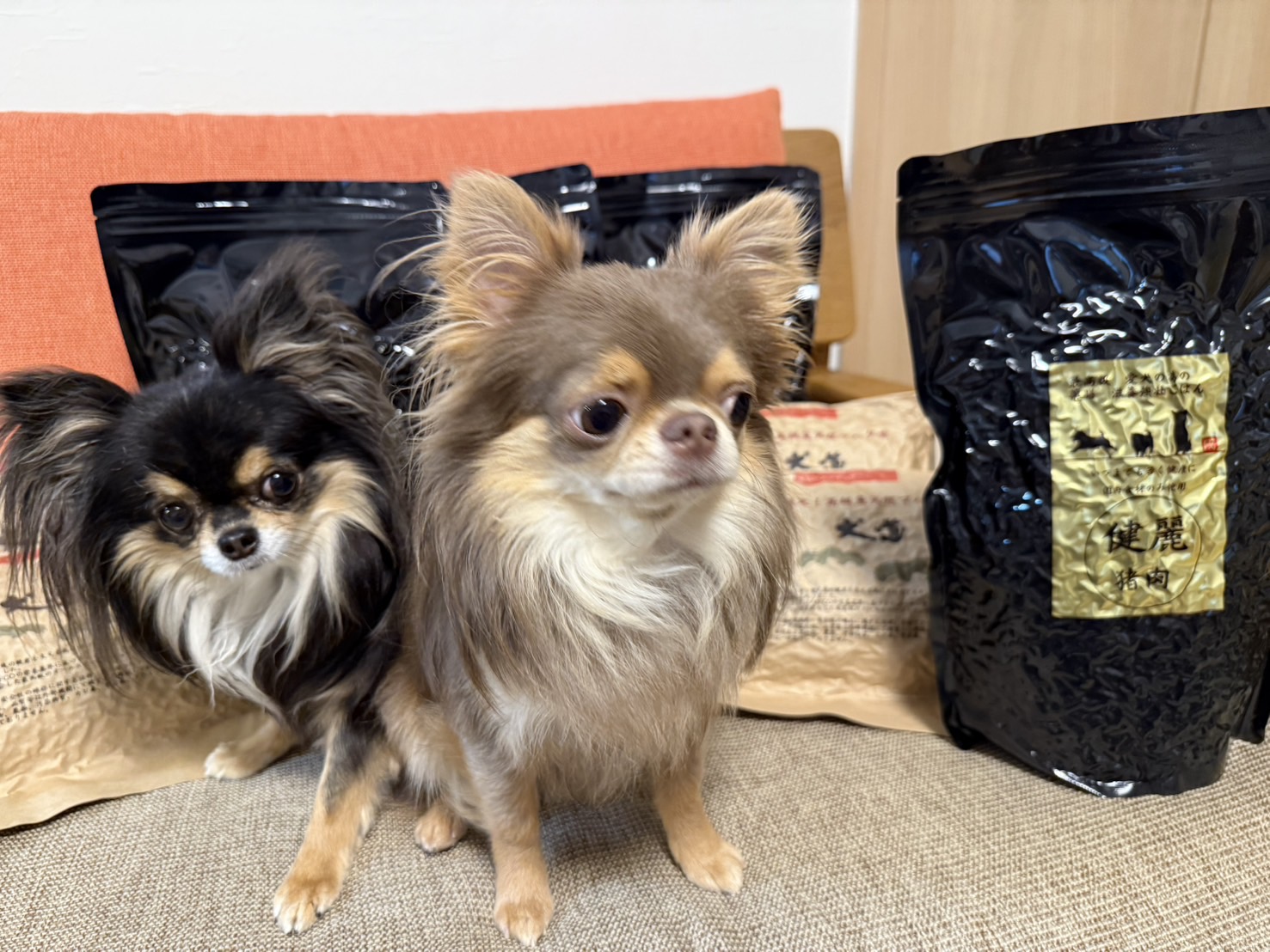 【犬道ドッグフード】毛艶を綺麗に保つ【美味しい】