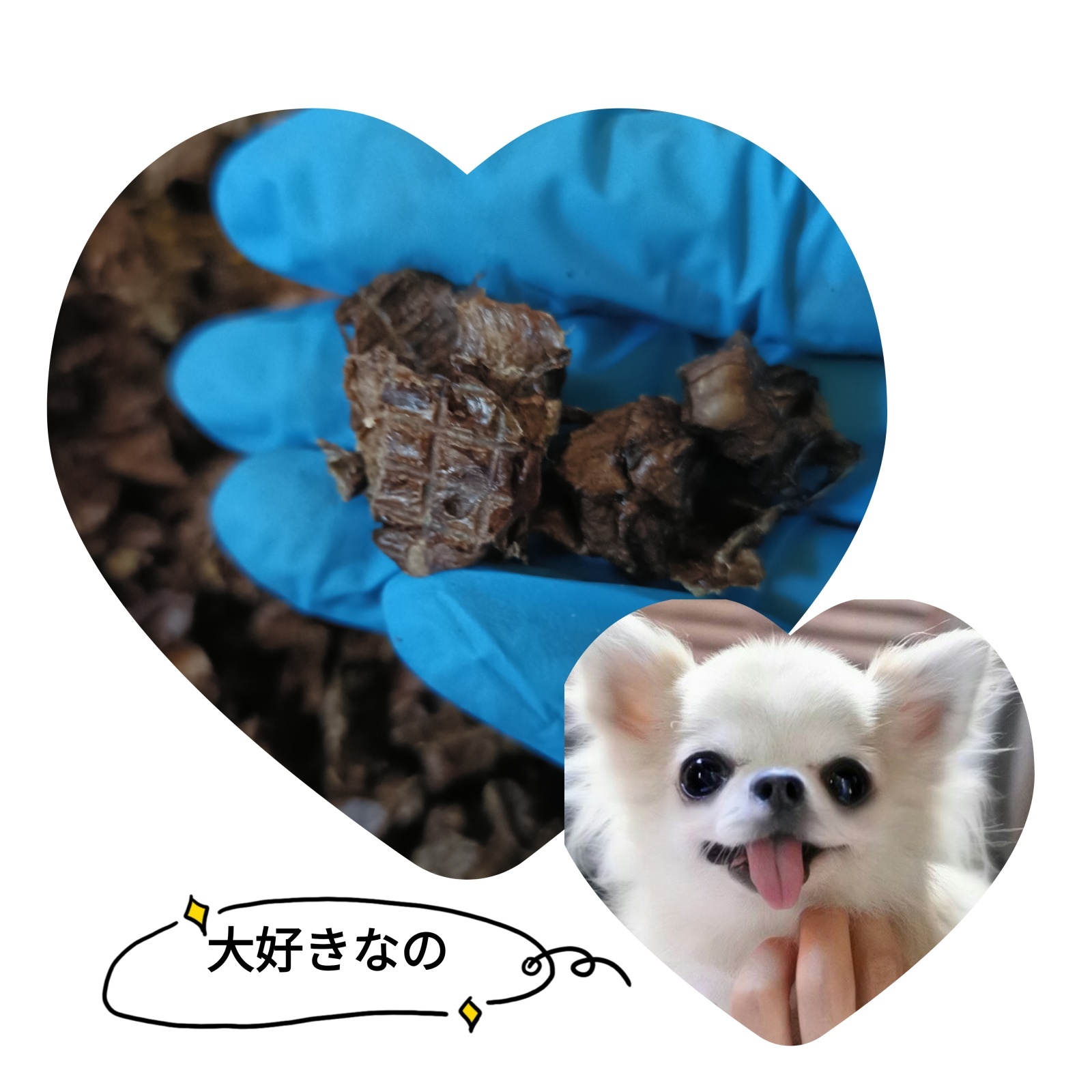 美味しいおやつが続々と