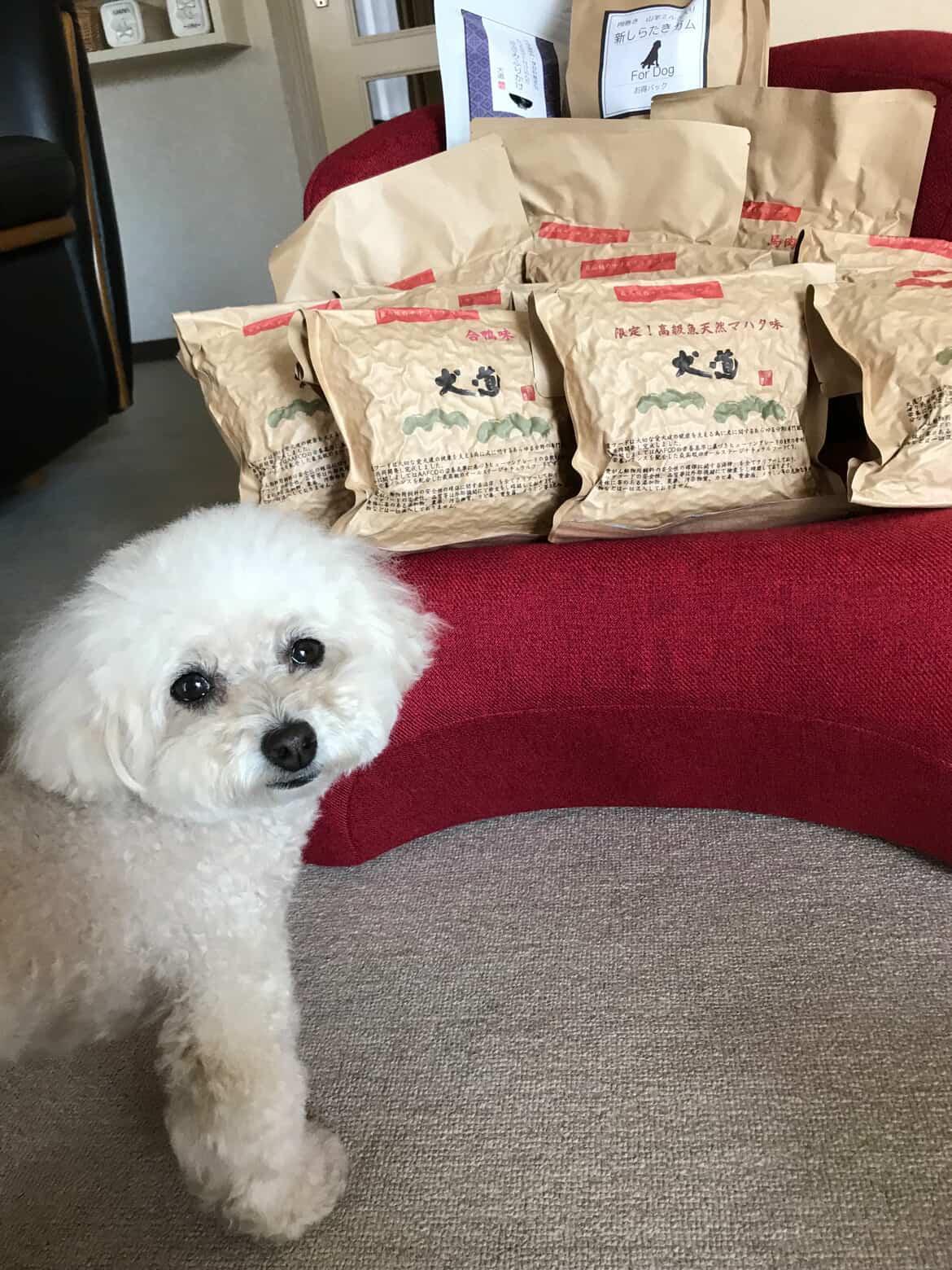 ポーズもバッチリハイポーズ✌